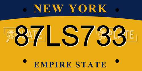 87LS733 New York License Plate