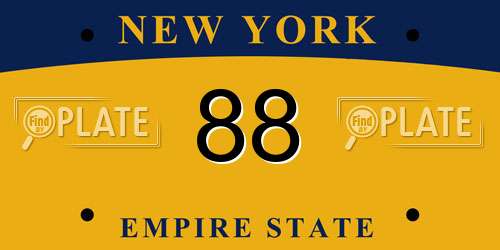 88 New York License Plate