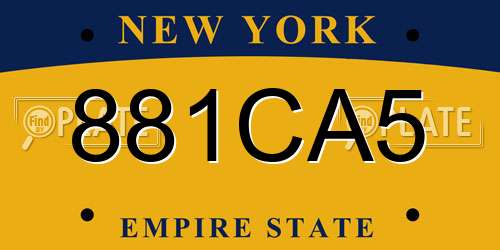881CA5 New York License Plate