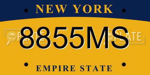 8855MS New York License Plate