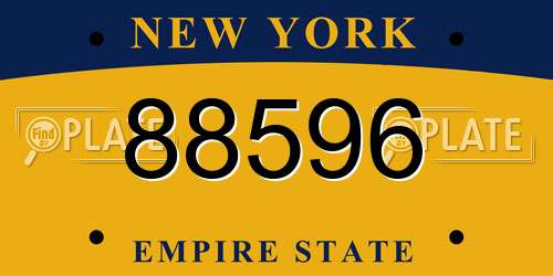 88596 New York License Plate