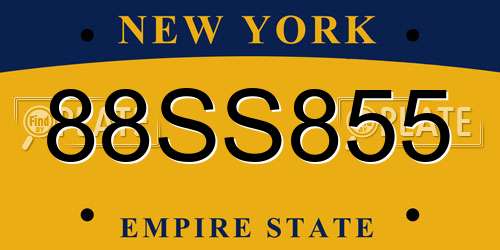 88SS855 New York License Plate