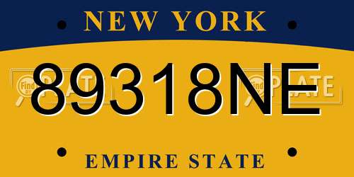 89318NE New York License Plate