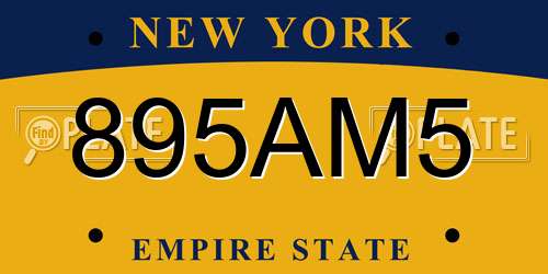 895AM5 New York License Plate