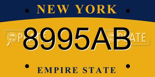 8995AB New York License Plate