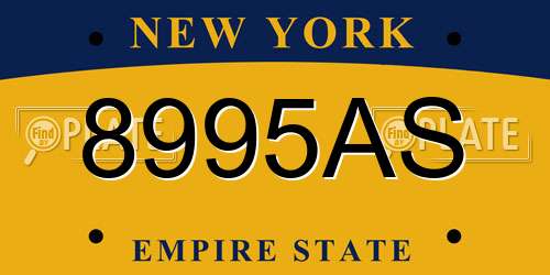 8995AS New York License Plate