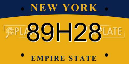 89H28 New York License Plate