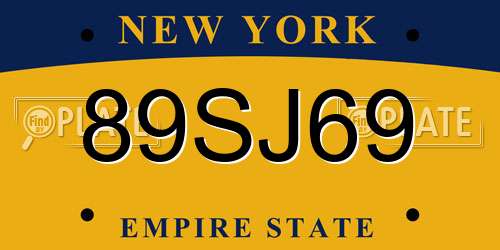 89SJ69 New York License Plate