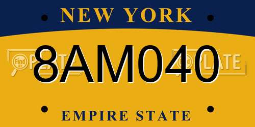 8AM040 New York License Plate