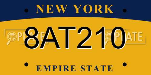 8AT210 New York License Plate