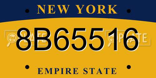 8B65516 New York License Plate