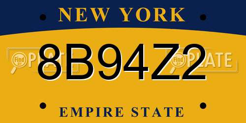 8B94Z2 New York License Plate