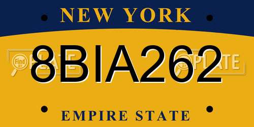 8BIA262 New York License Plate