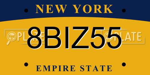 8BIZ55 New York License Plate