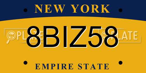 8BIZ58 New York License Plate