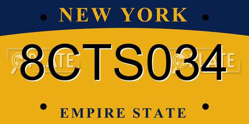 8CTS034 New York License Plate