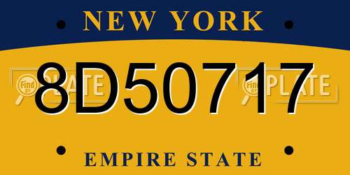 8D50717 New York License Plate