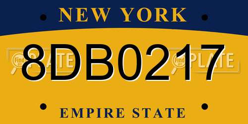8DB0217 New York License Plate