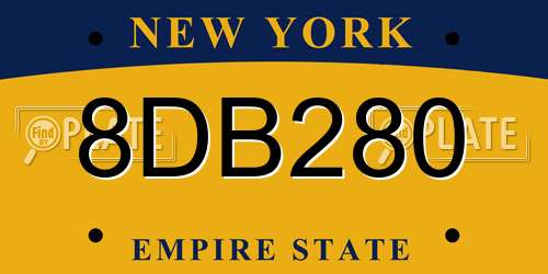 8DB280 New York License Plate
