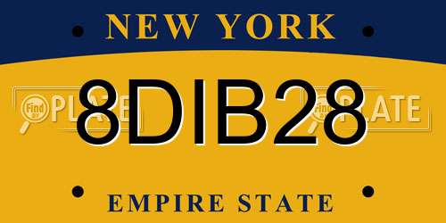 8DIB28 New York License Plate
