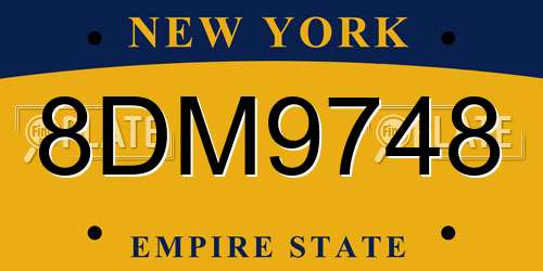 8DM9748 New York License Plate