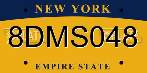 8DMS048 New York License Plate