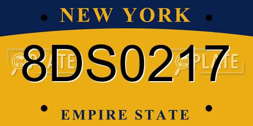 8DS0217 New York License Plate