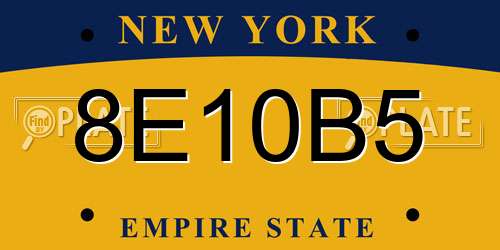 8E10B5 New York License Plate