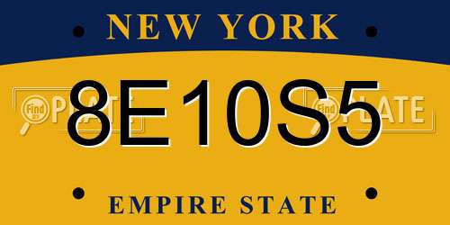 8E10S5 New York License Plate