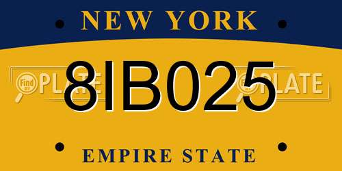 8IB025 New York License Plate