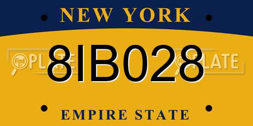 8IB028 New York License Plate