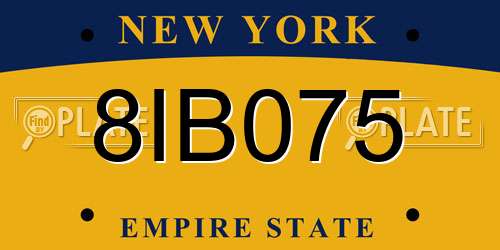 8IB075 New York License Plate