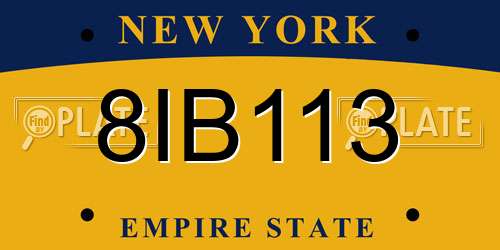 8IB113 New York License Plate