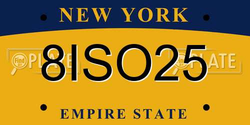 8ISO25 New York License Plate