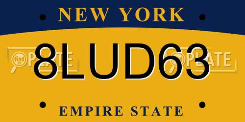 8LUD63 New York License Plate