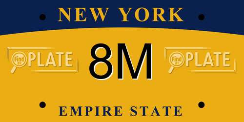8M New York License Plate