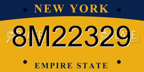 8M22329 New York License Plate