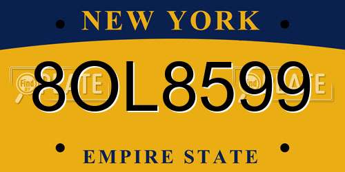 8OL8599 New York License Plate