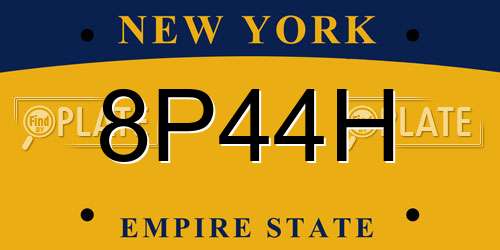 8P44H New York License Plate