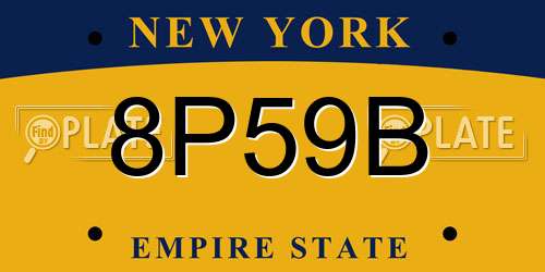 8P59B New York License Plate