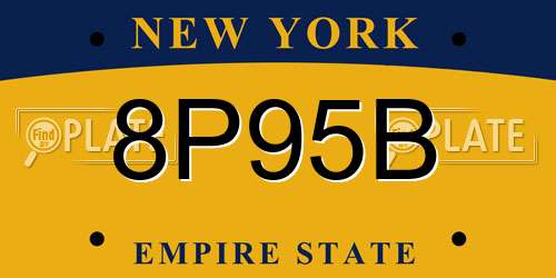 8P95B New York License Plate