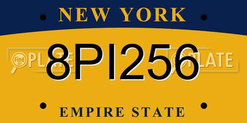 8PI256 New York License Plate
