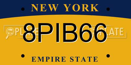8PIB66 New York License Plate