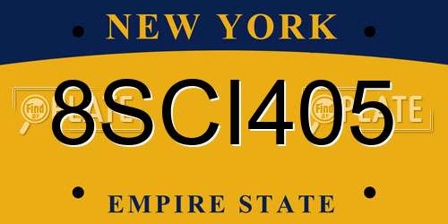 8SCI405 New York License Plate