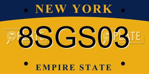 8SGS03 New York License Plate