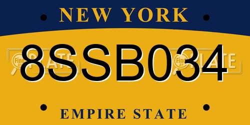 8SSB034 New York License Plate