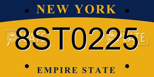 8ST0225 New York License Plate