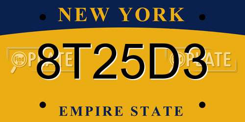 8T25D3 New York License Plate