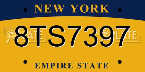 8TS7397 New York License Plate