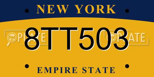 8TT503 New York License Plate